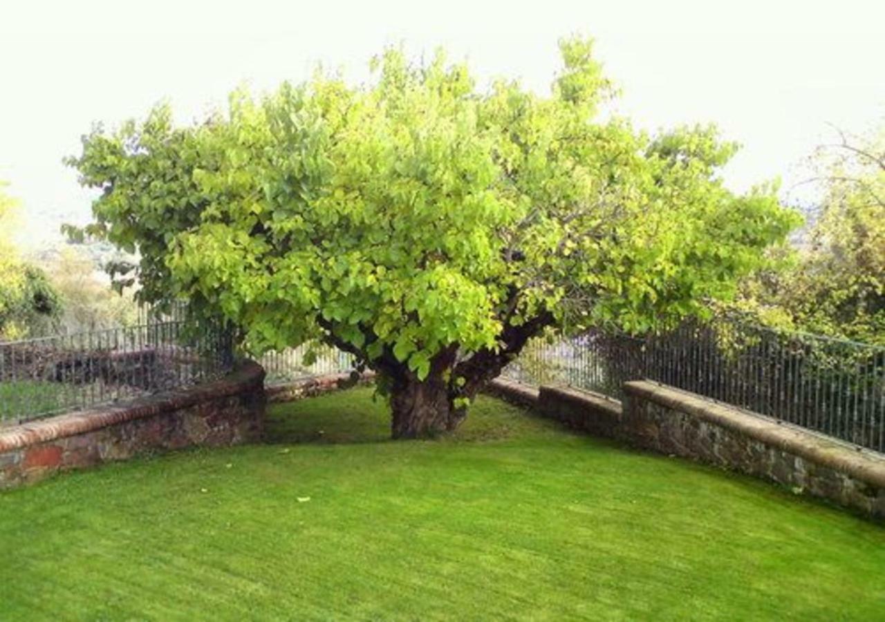 El Patio De La Morera El Rasillo Eksteriør bilde